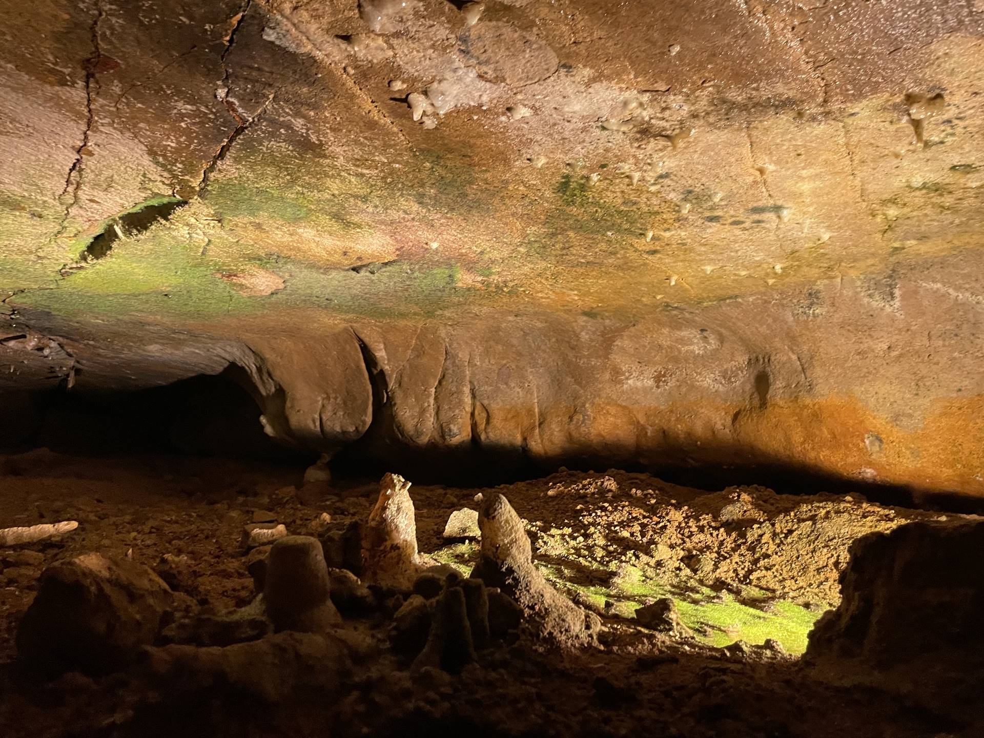 Ohio Caverns field trip, fossils