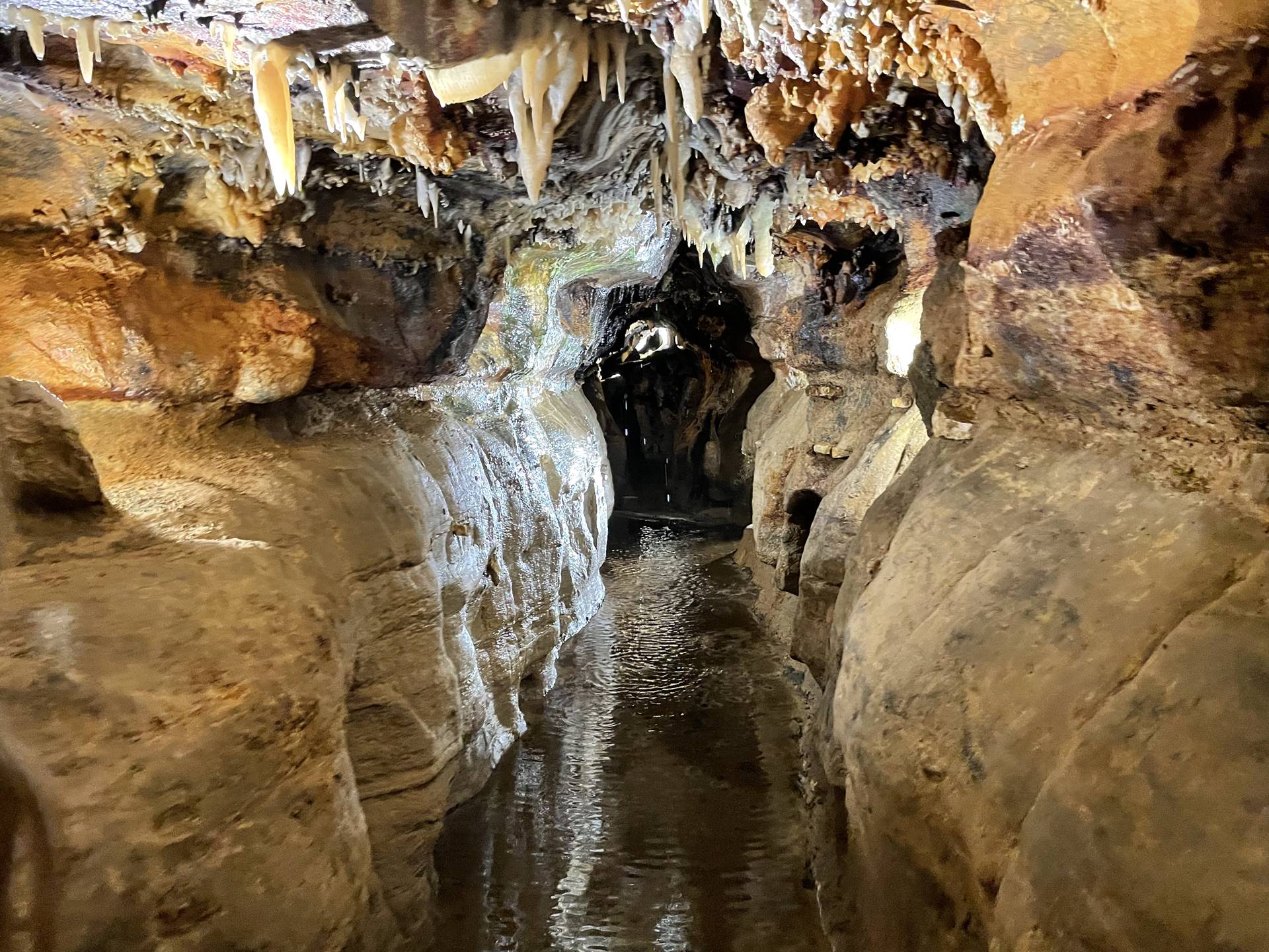 Ohio Caverns field trip, fossils