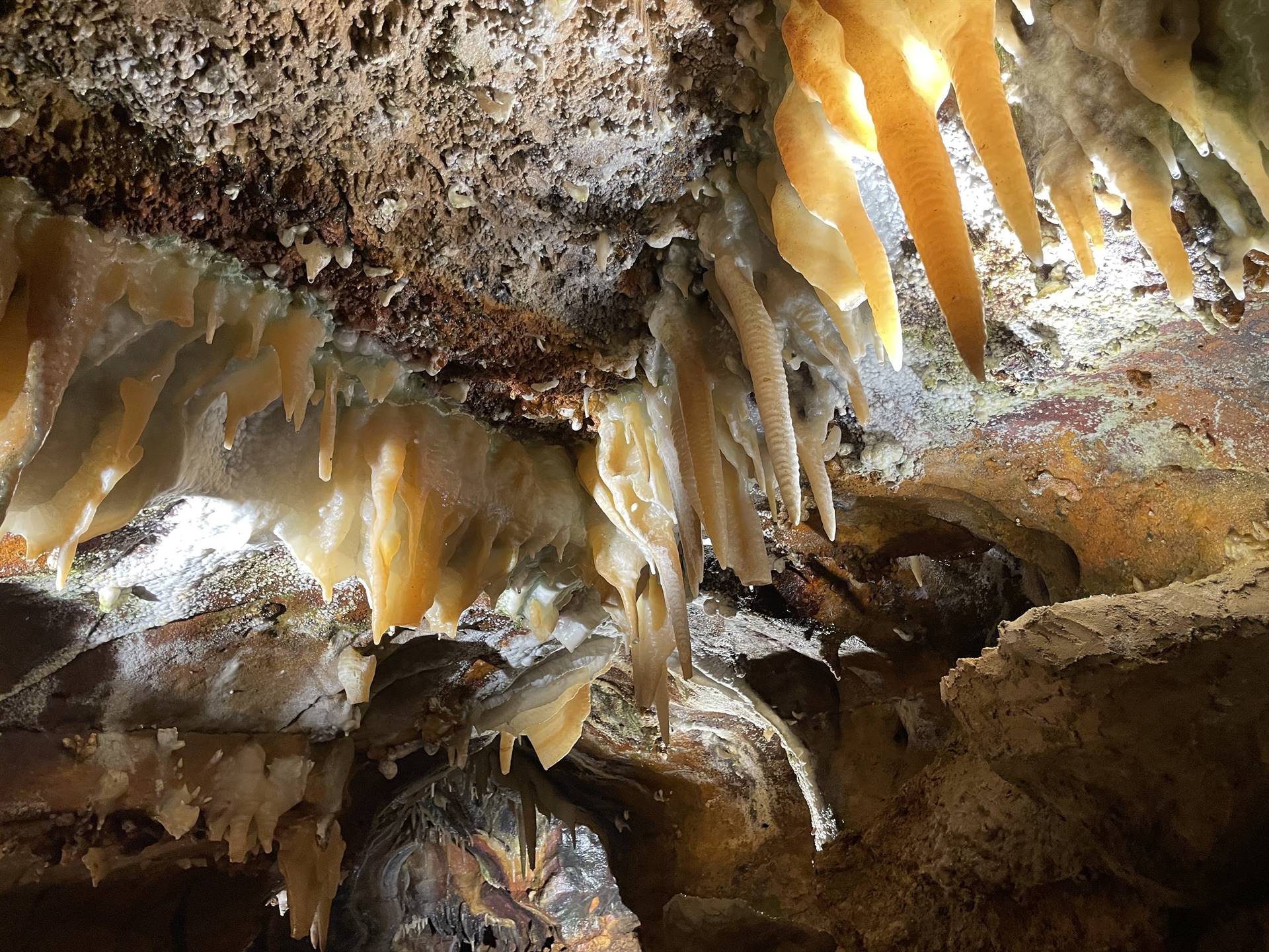 Ohio Caverns field trip, fossils