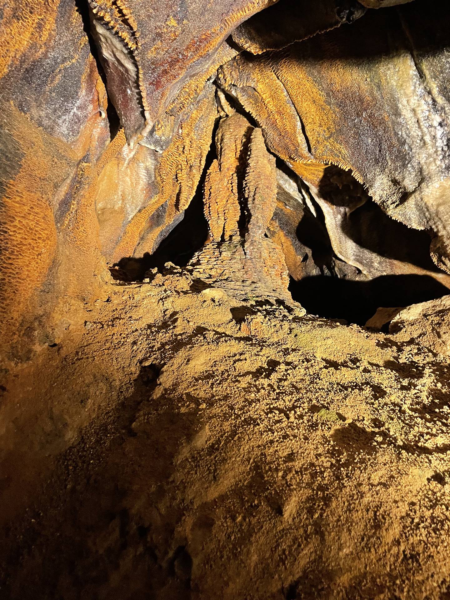 Ohio Caverns field trip, fossils 