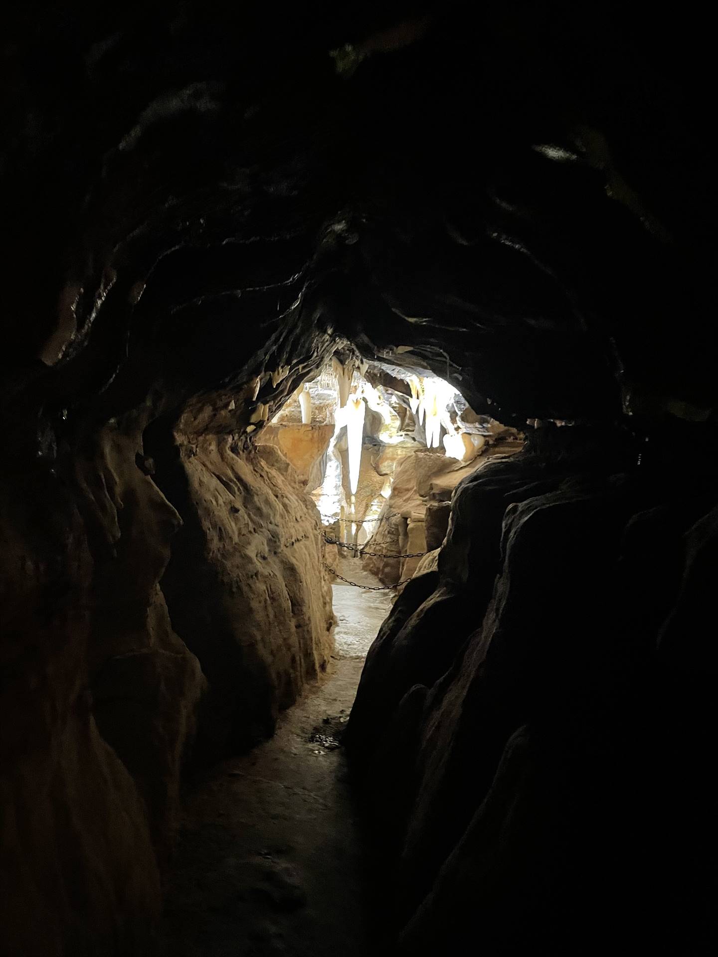 Ohio Caverns field trip, fossils