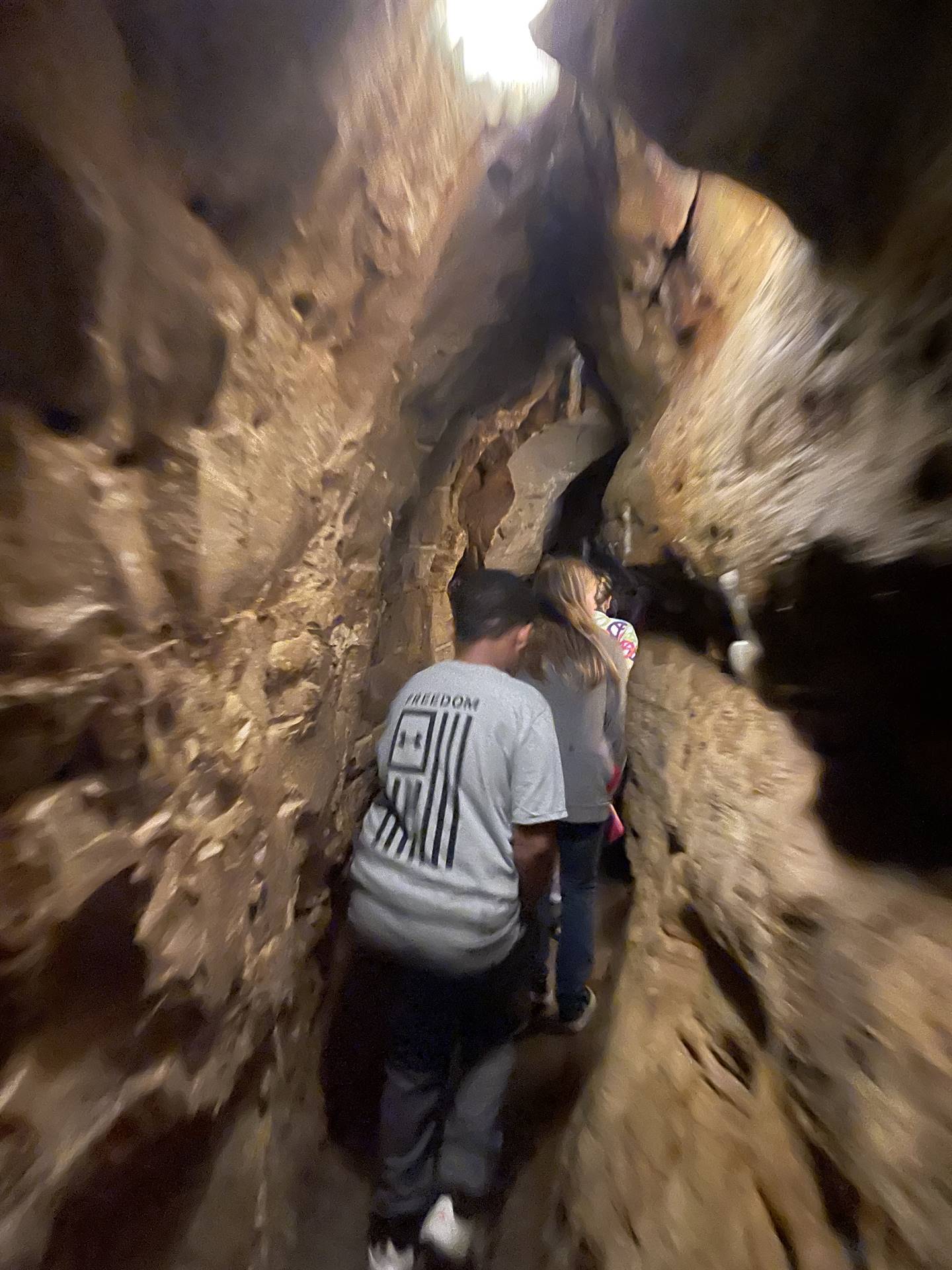 Ohio Caverns field trip, fossils