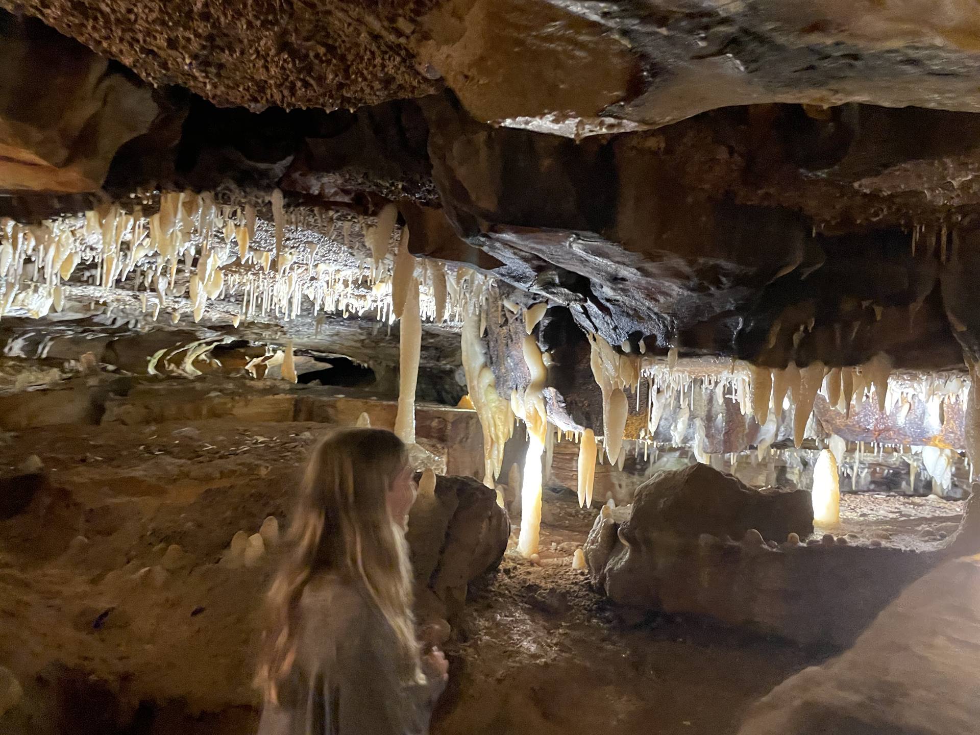 Ohio Caverns field trip, fossils