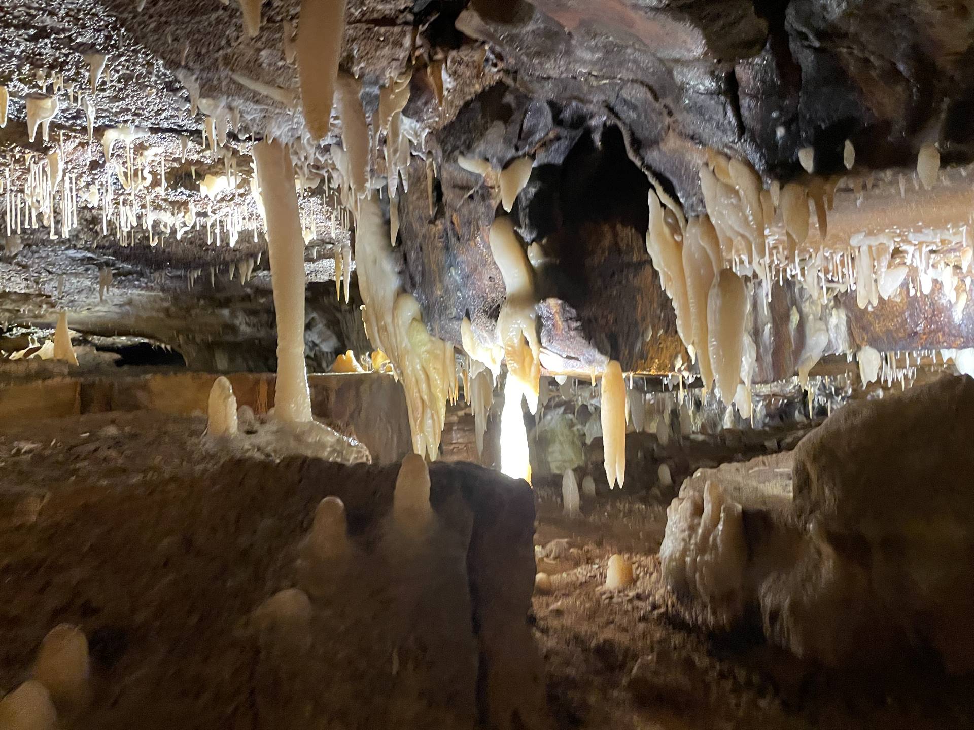 Ohio Caverns field trip, fossils