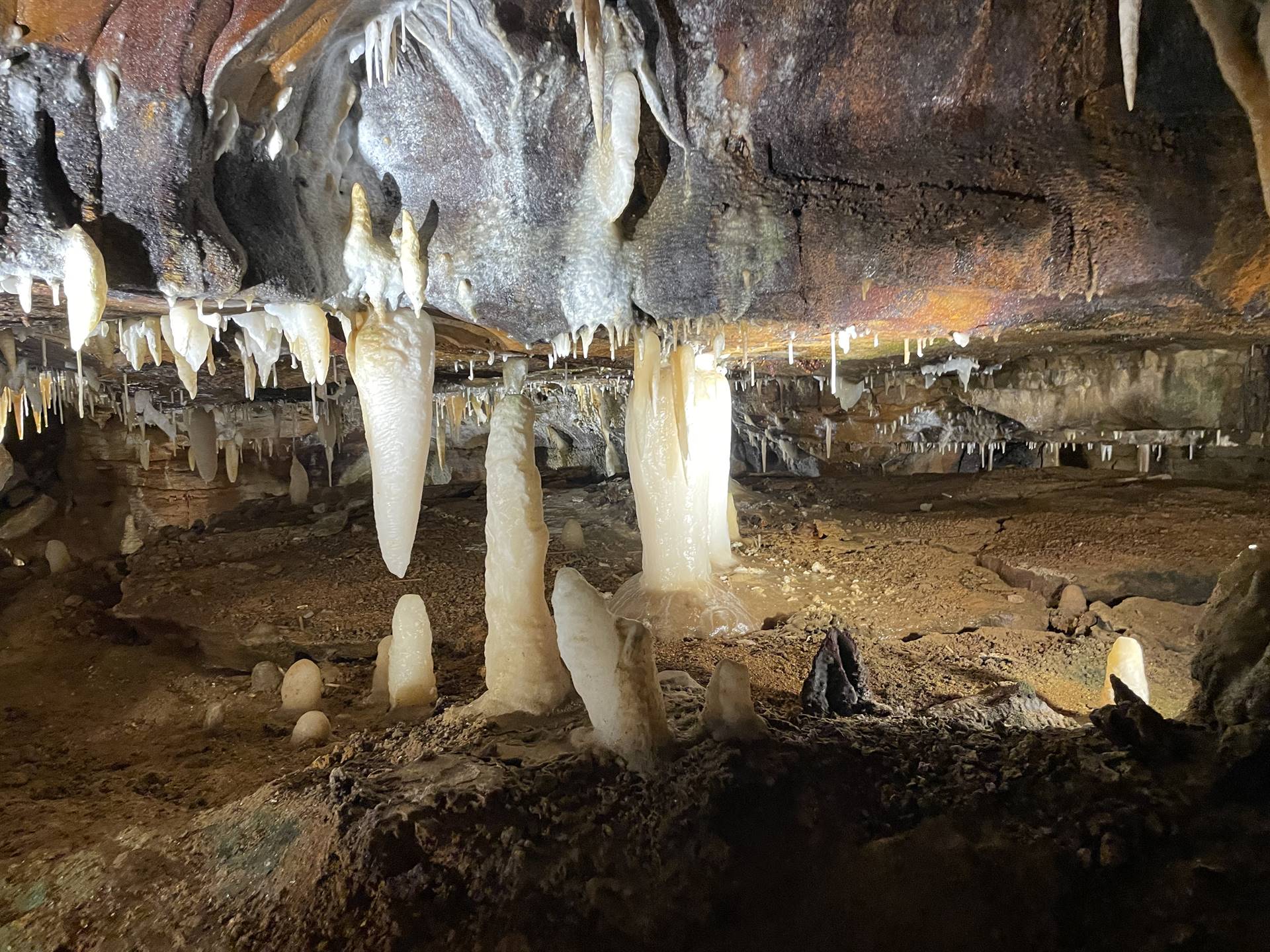 Ohio Caverns field trip, fossils