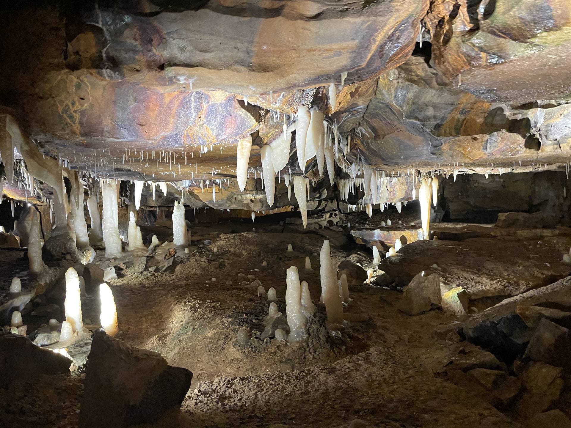 Ohio Caverns field trip, fossils