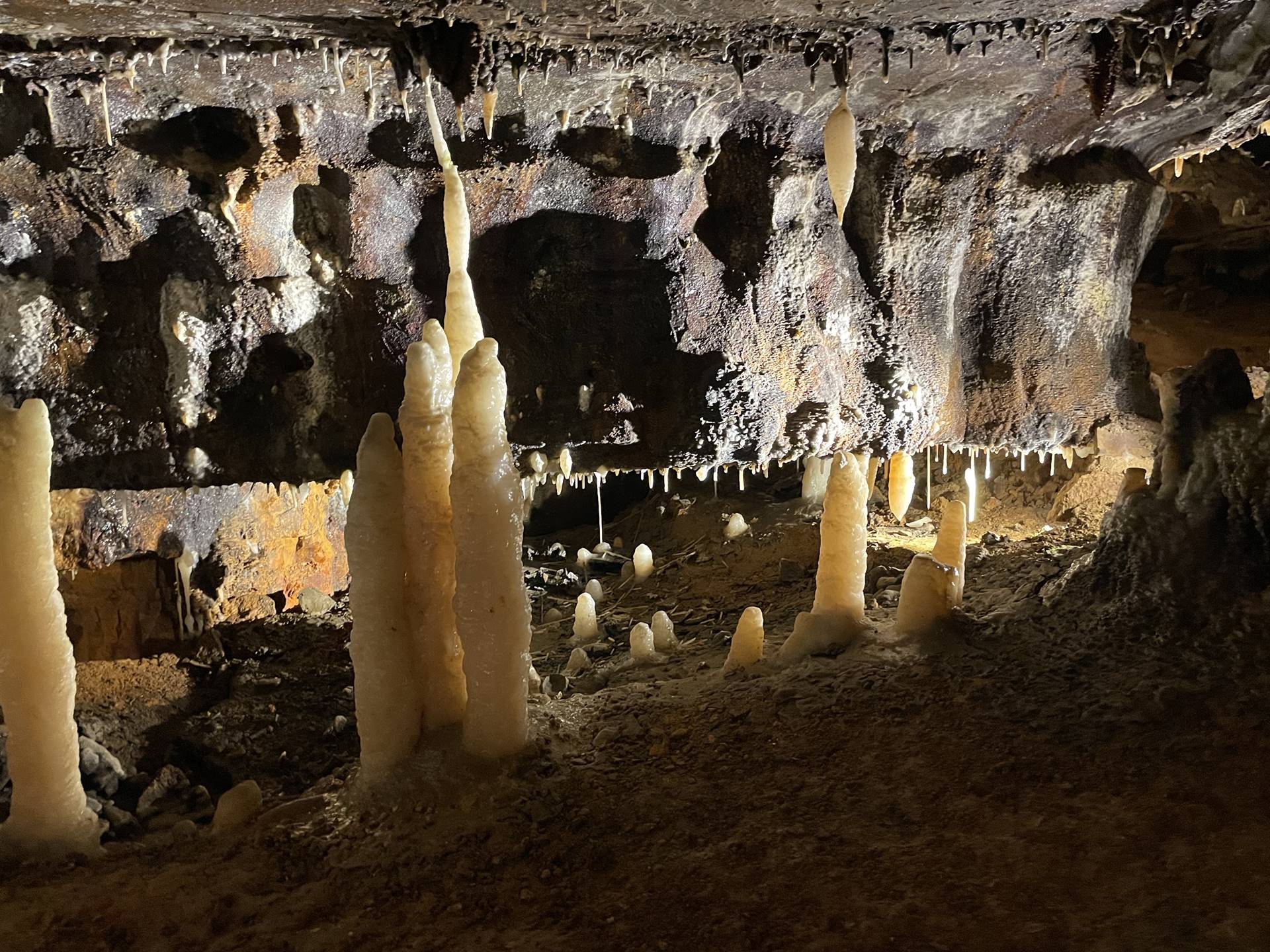 Ohio Caverns field trip, fossils