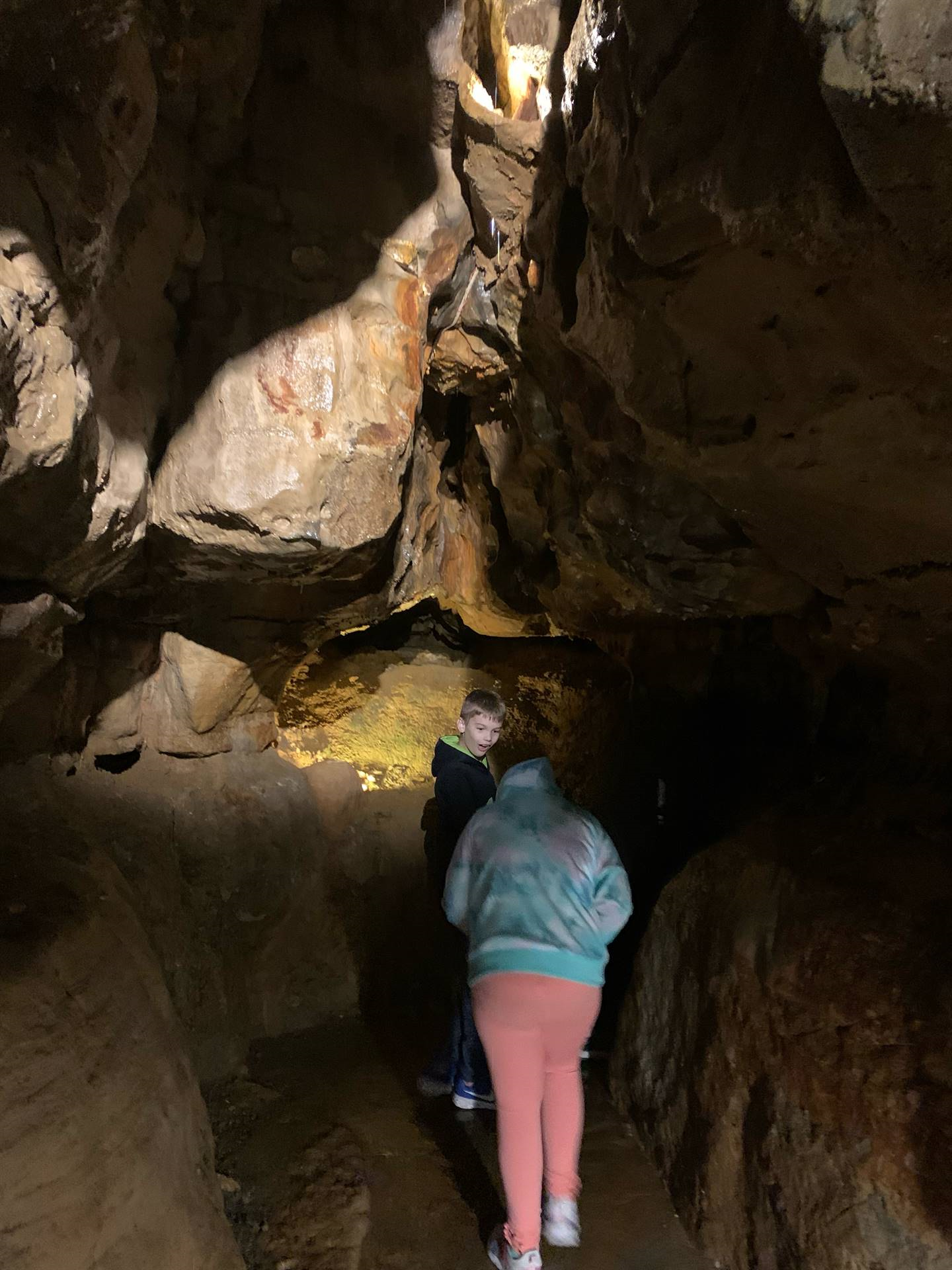 Ohio Caverns field trip, fossils