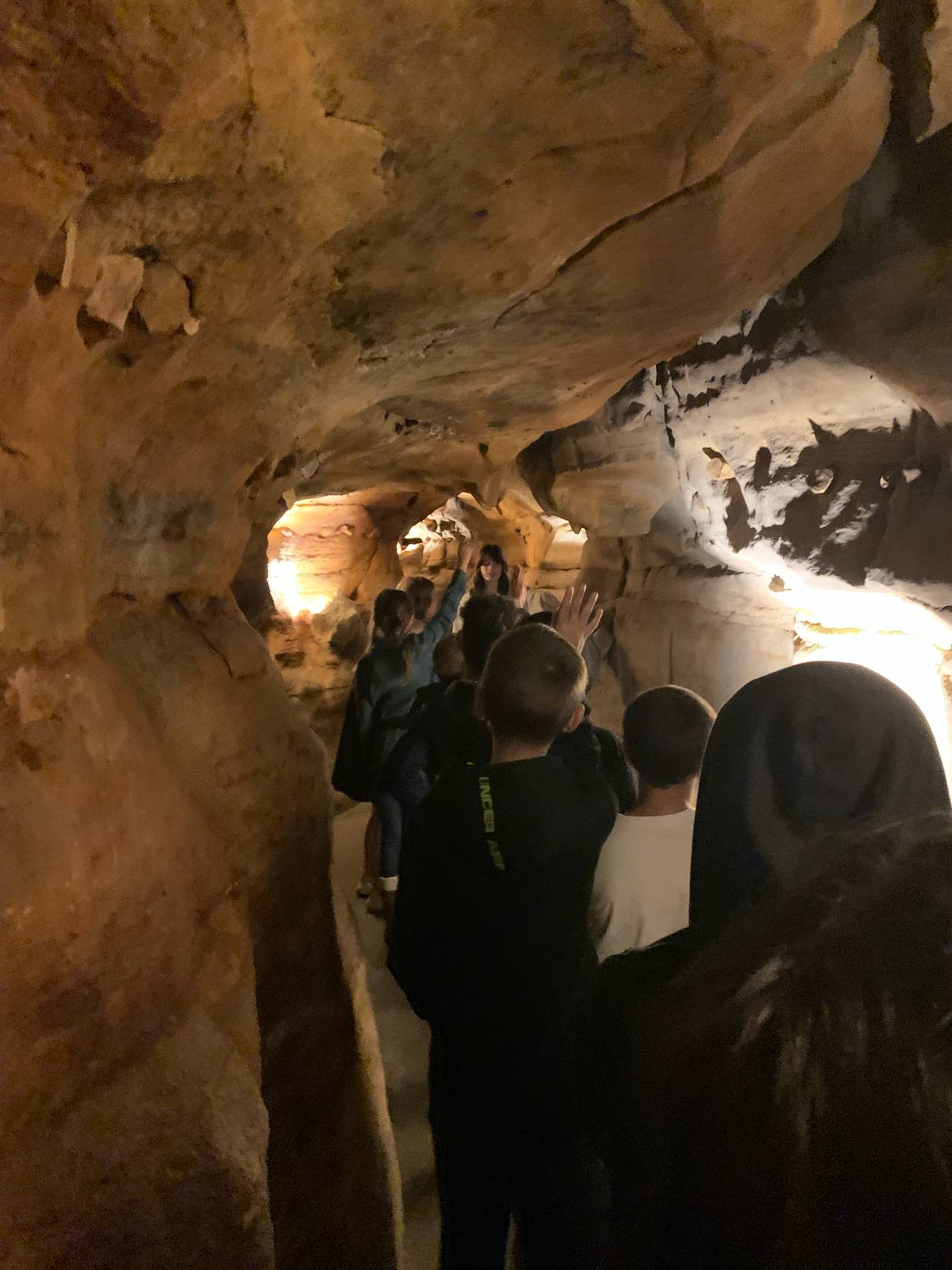 Ohio Caverns field trip, fossils