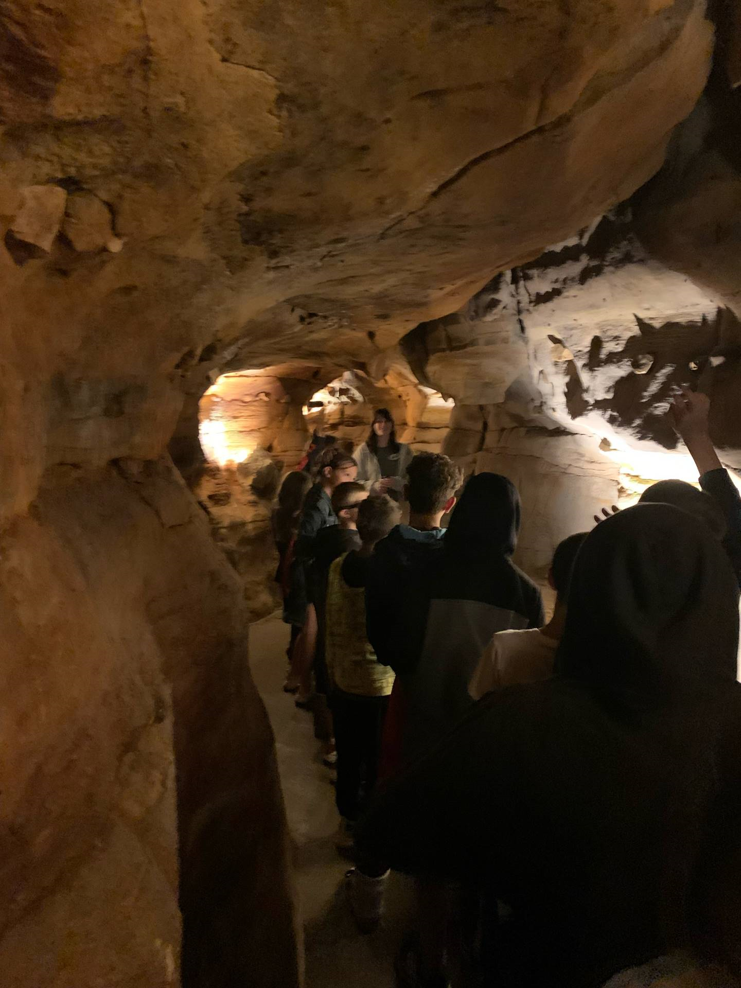 Ohio Caverns field trip, fossils