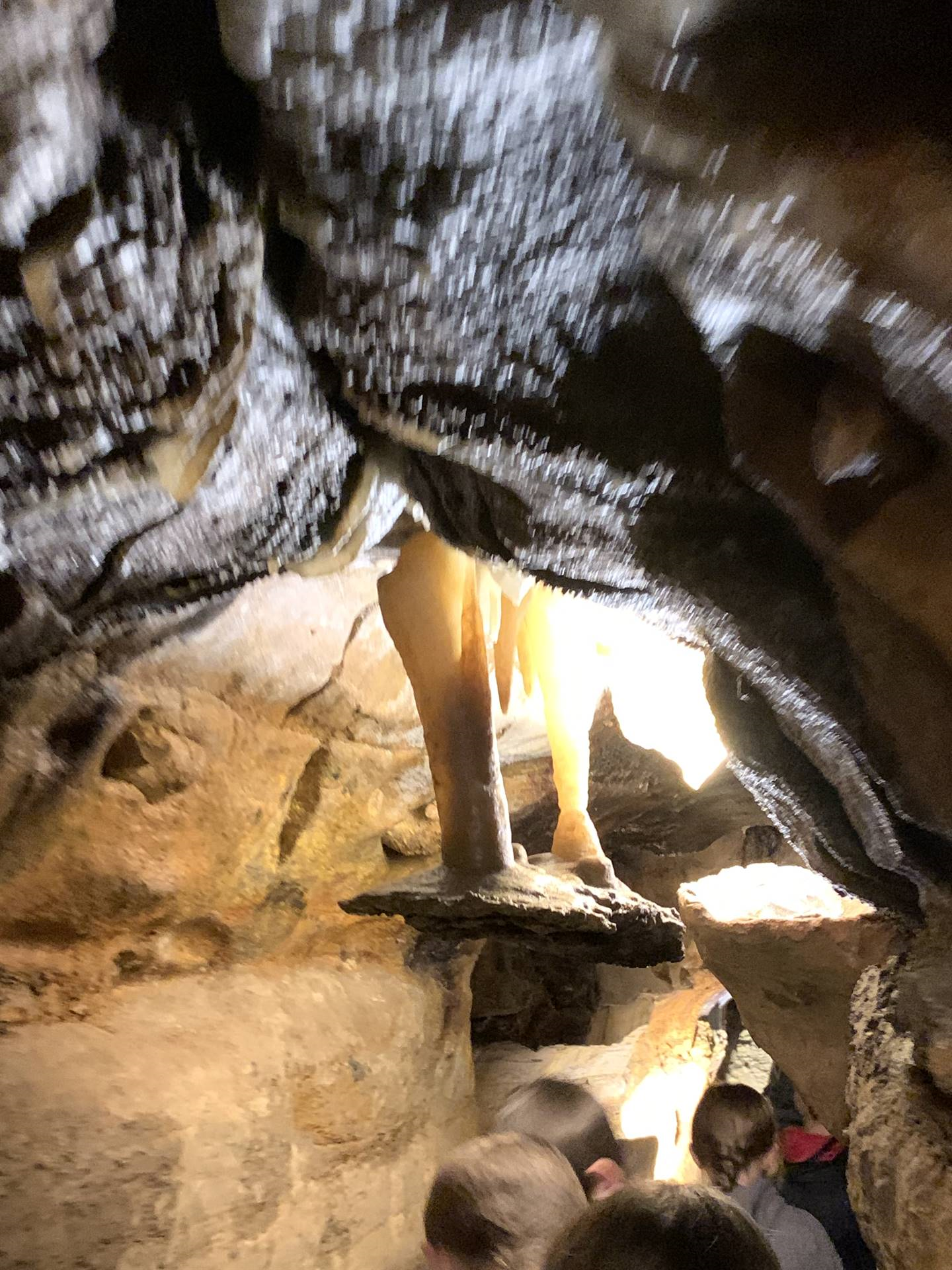 Ohio Caverns field trip, fossils