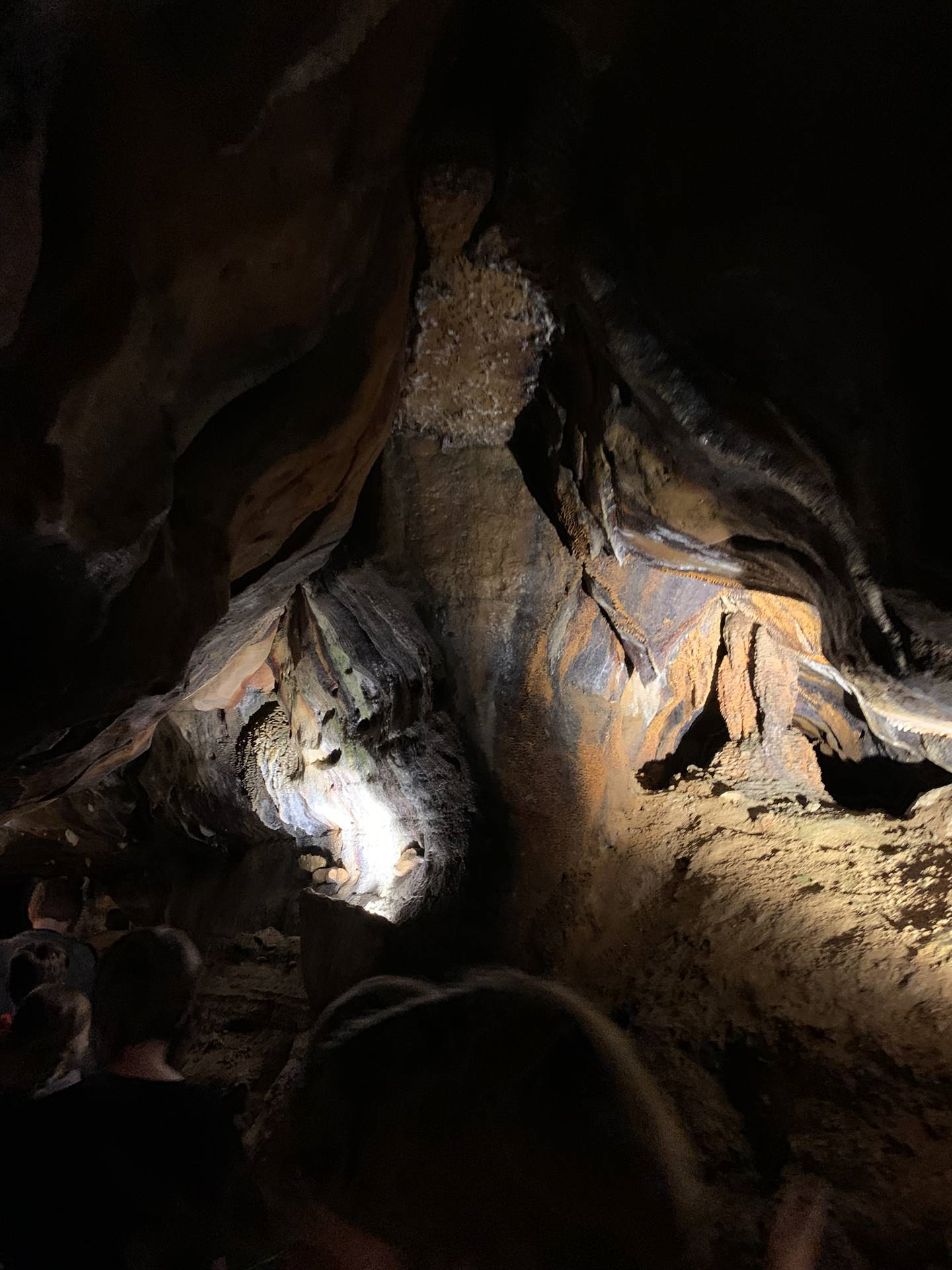 Ohio Caverns field trip, fossils