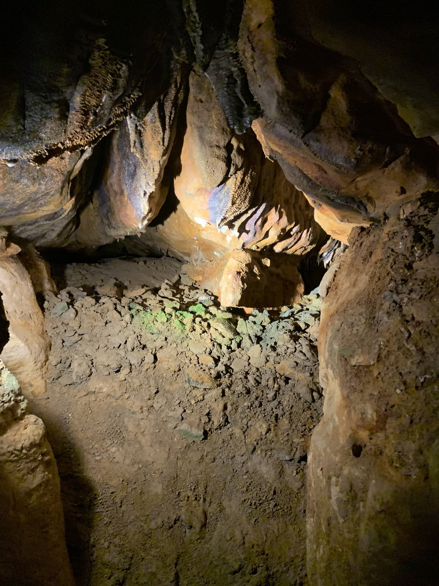 Ohio Caverns field trip, fossils