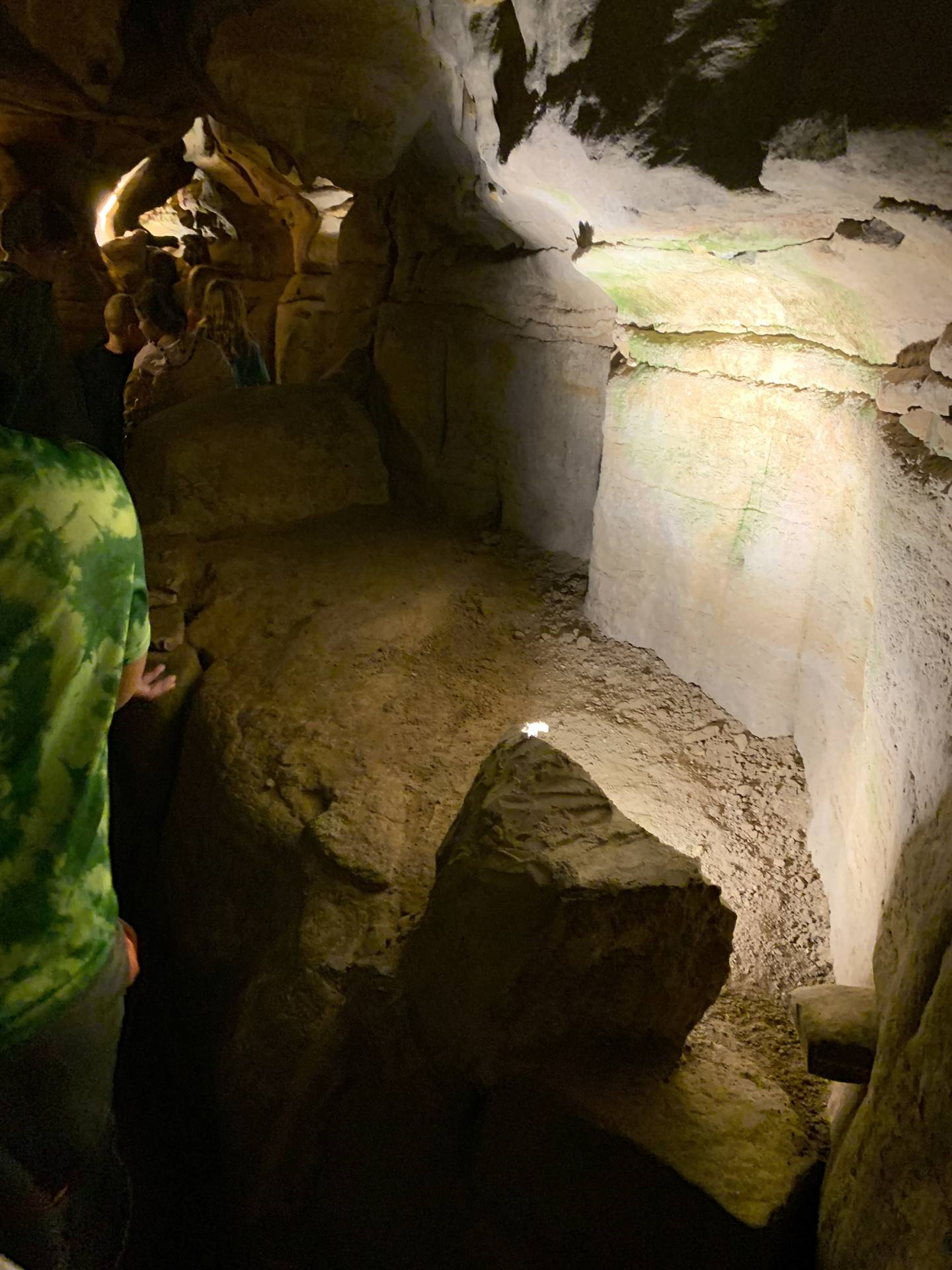 Ohio Caverns field trip, fossils