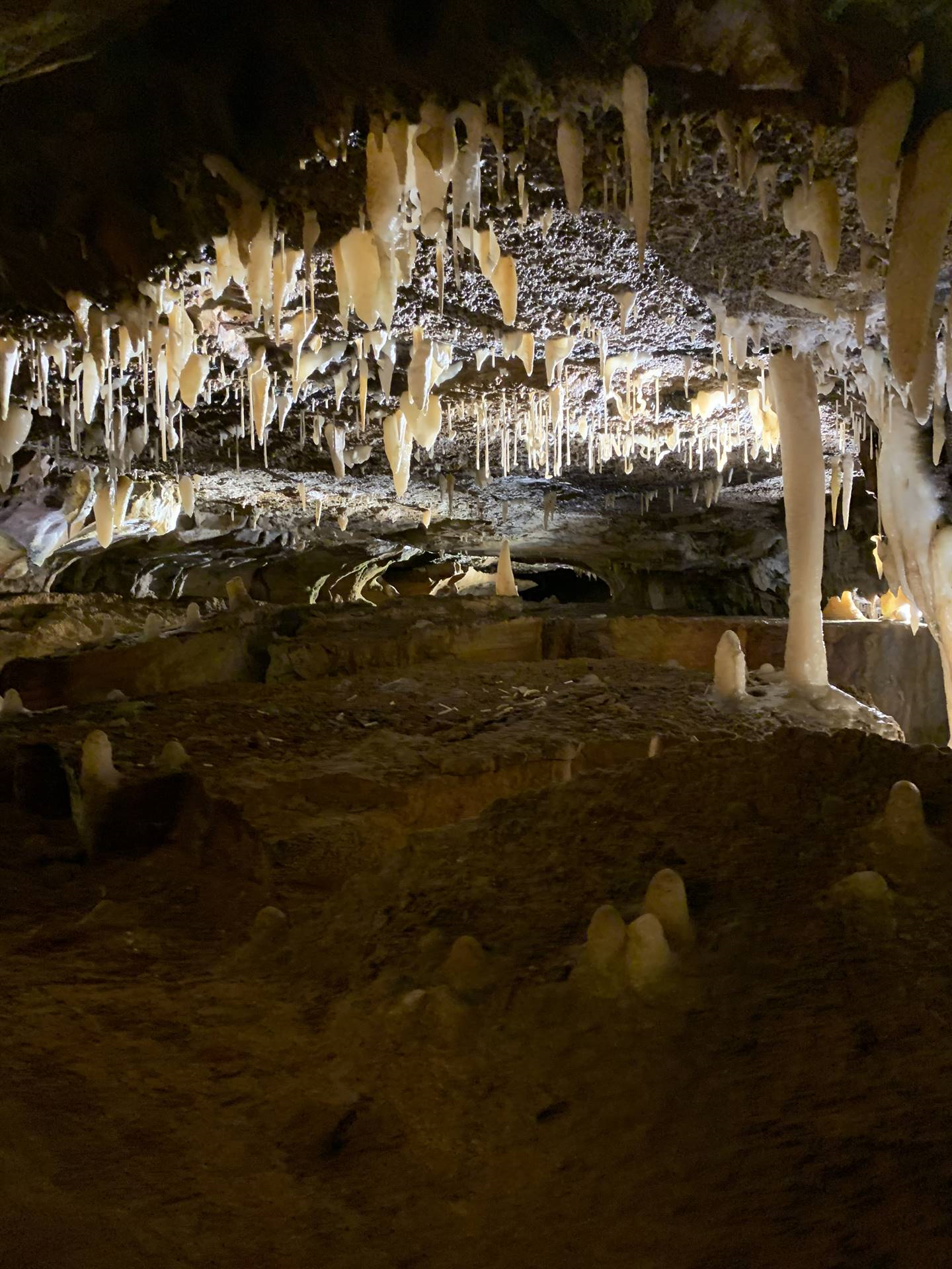 Ohio Caverns field trip, fossils