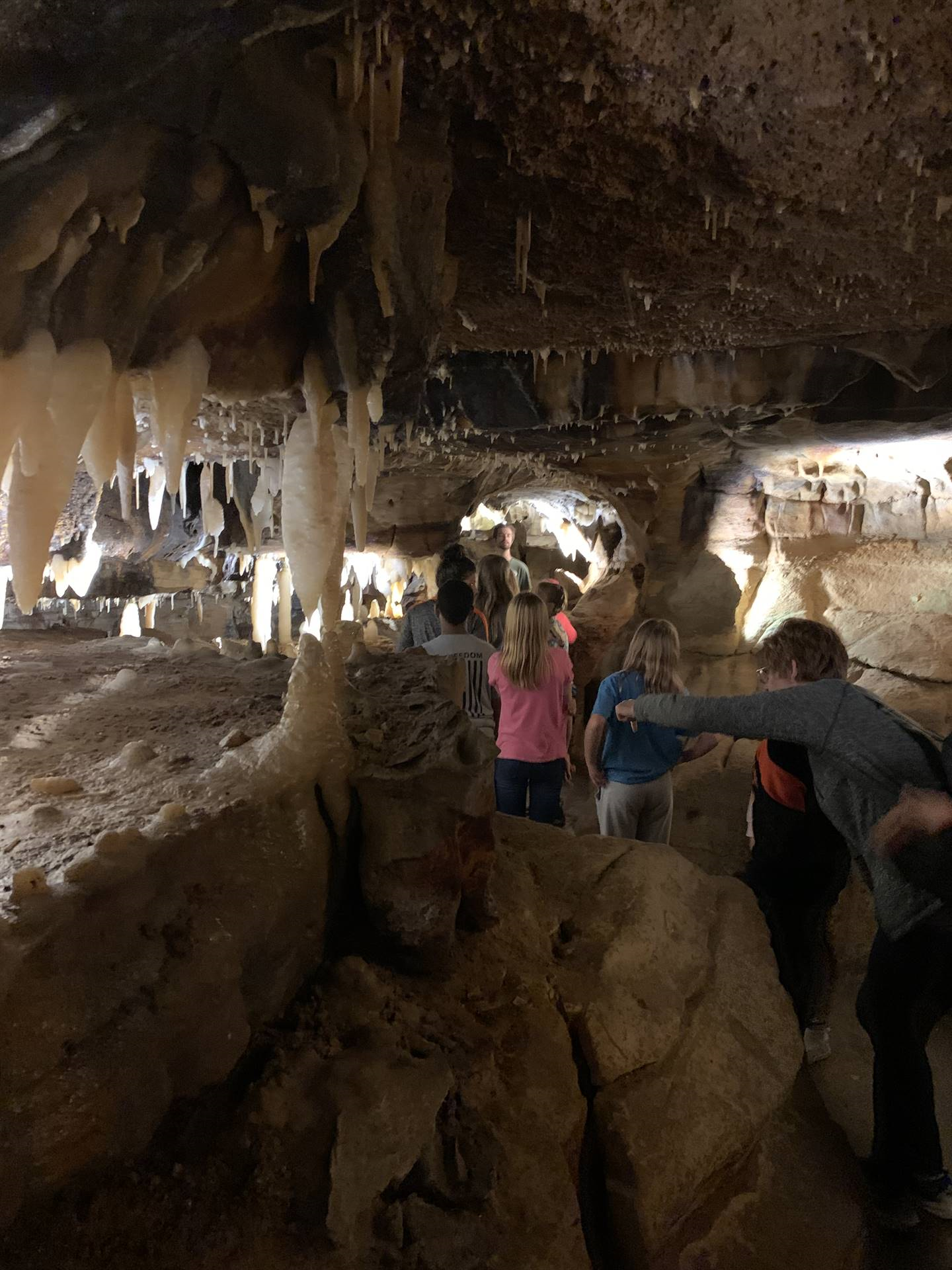 Ohio Caverns field trip, fossils