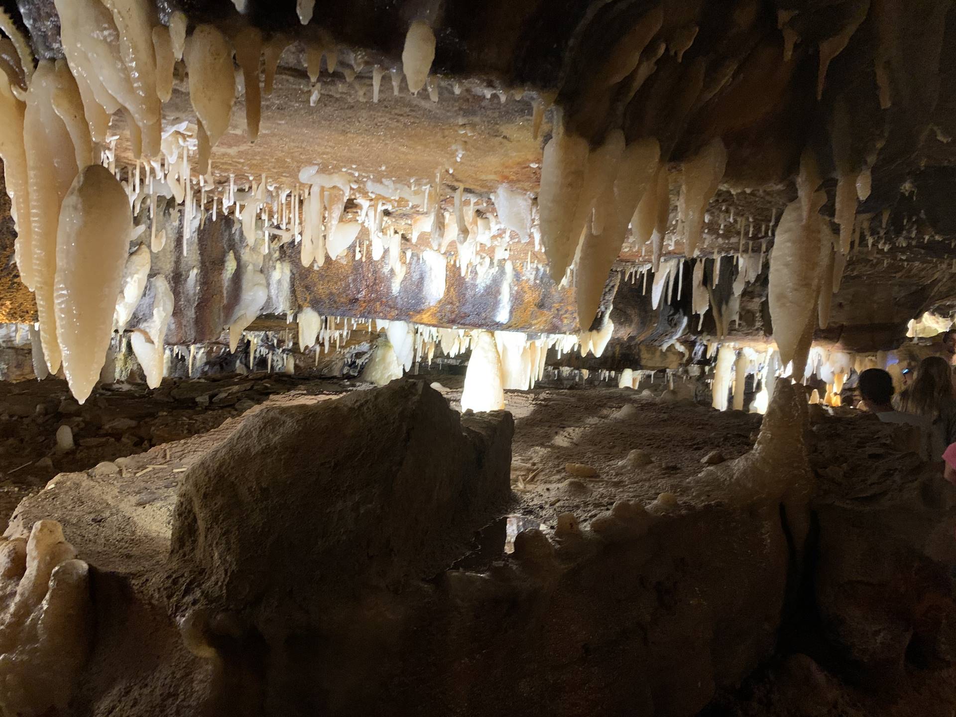 Ohio Caverns field trip, fossils