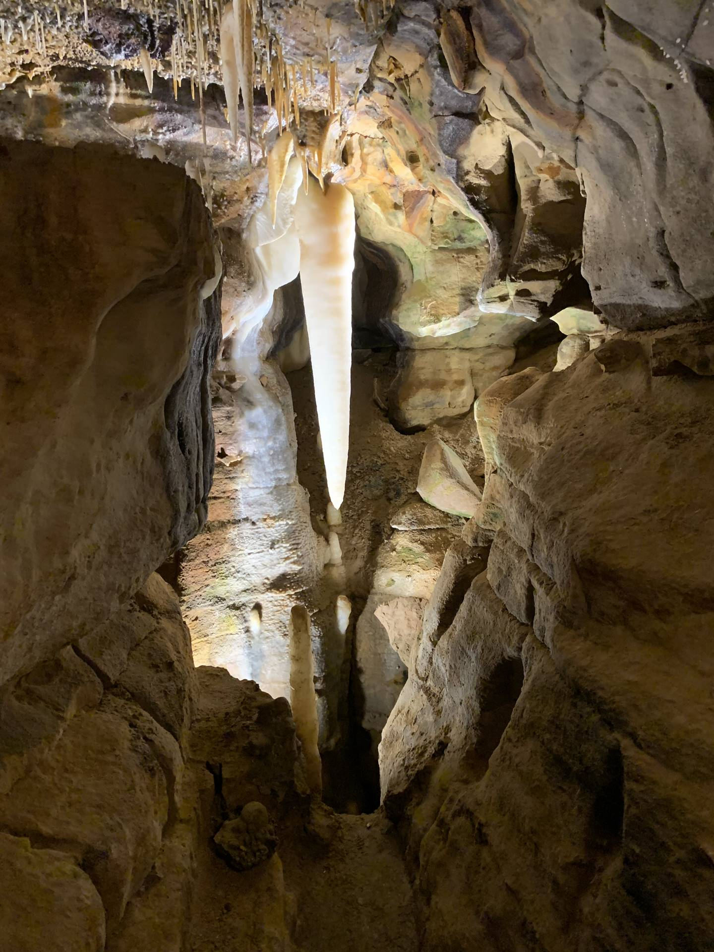 Ohio Caverns field trip, fossils