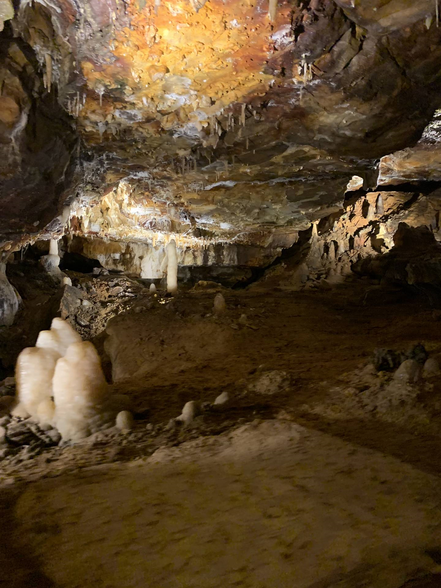 Ohio Caverns field trip, fossils