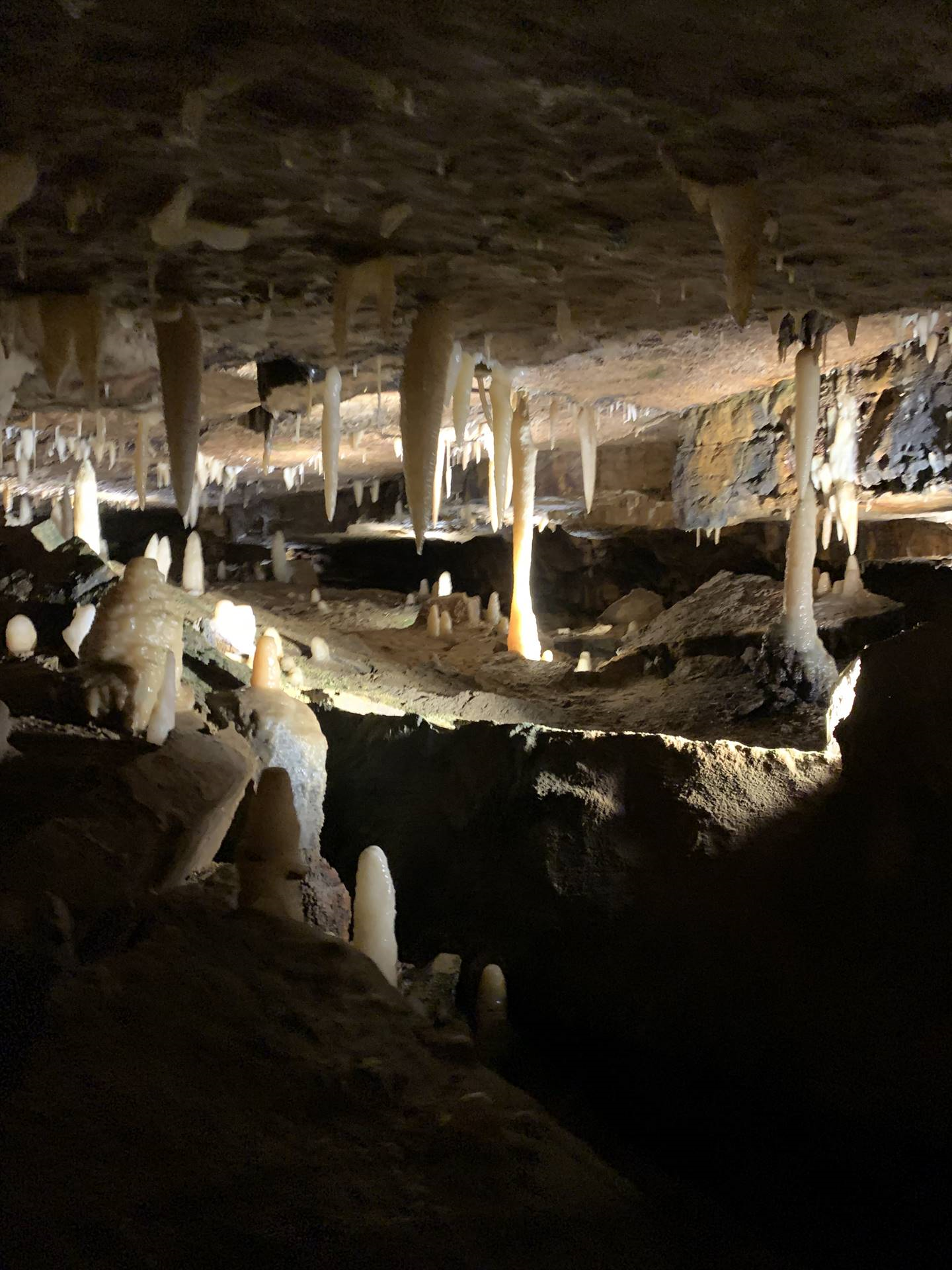 Ohio Caverns field trip, fossils