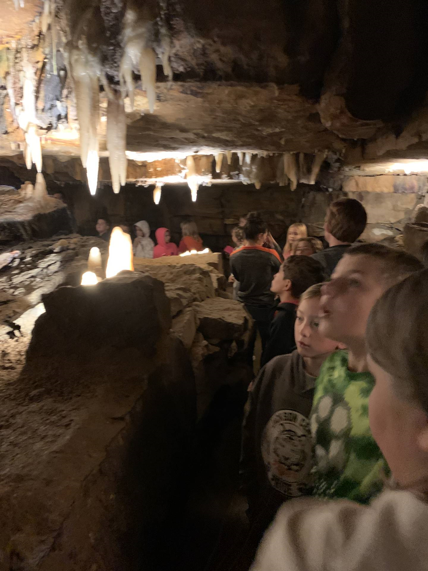 Ohio Caverns field trip, fossils