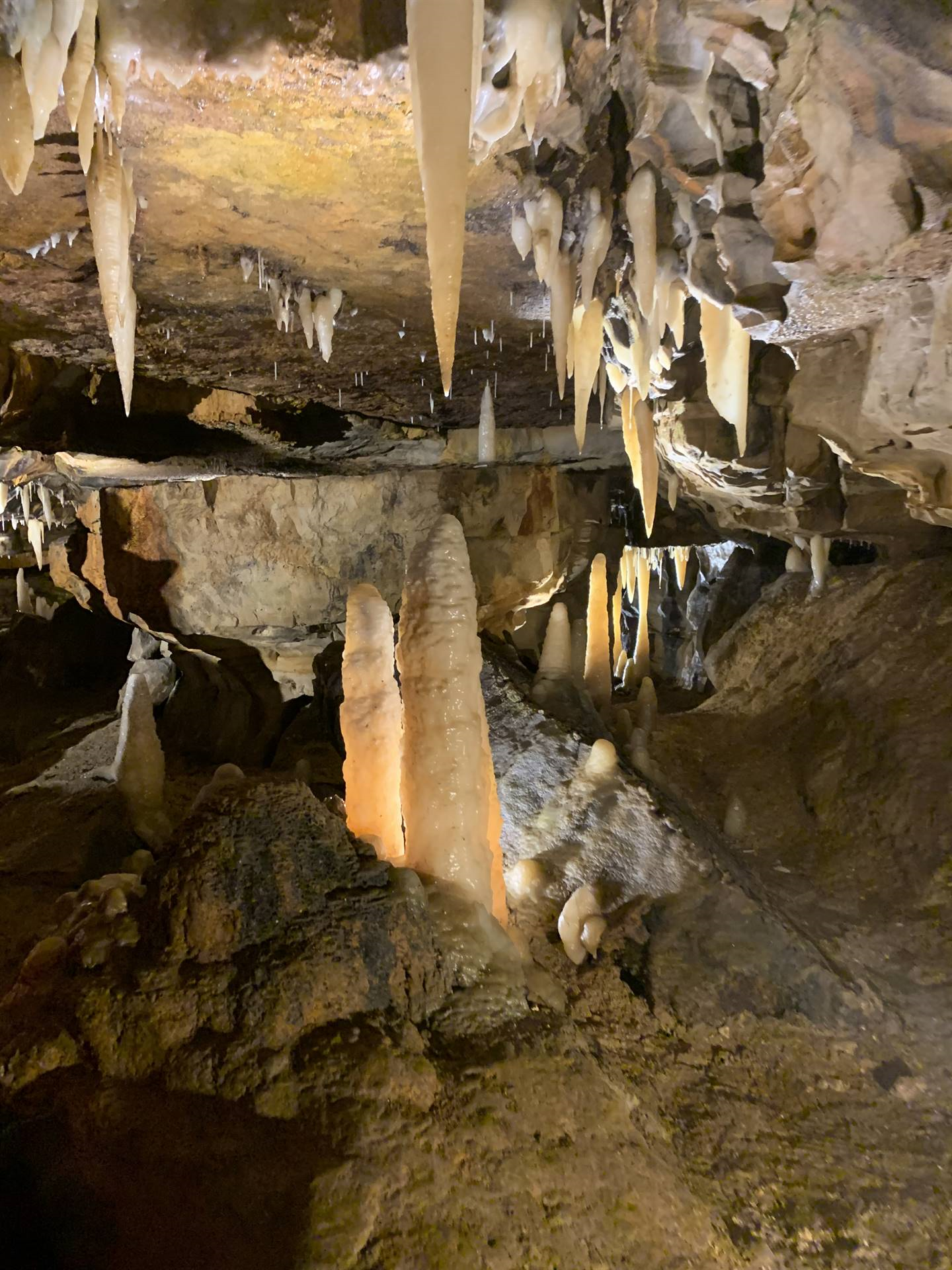 Ohio Caverns field trip, fossils