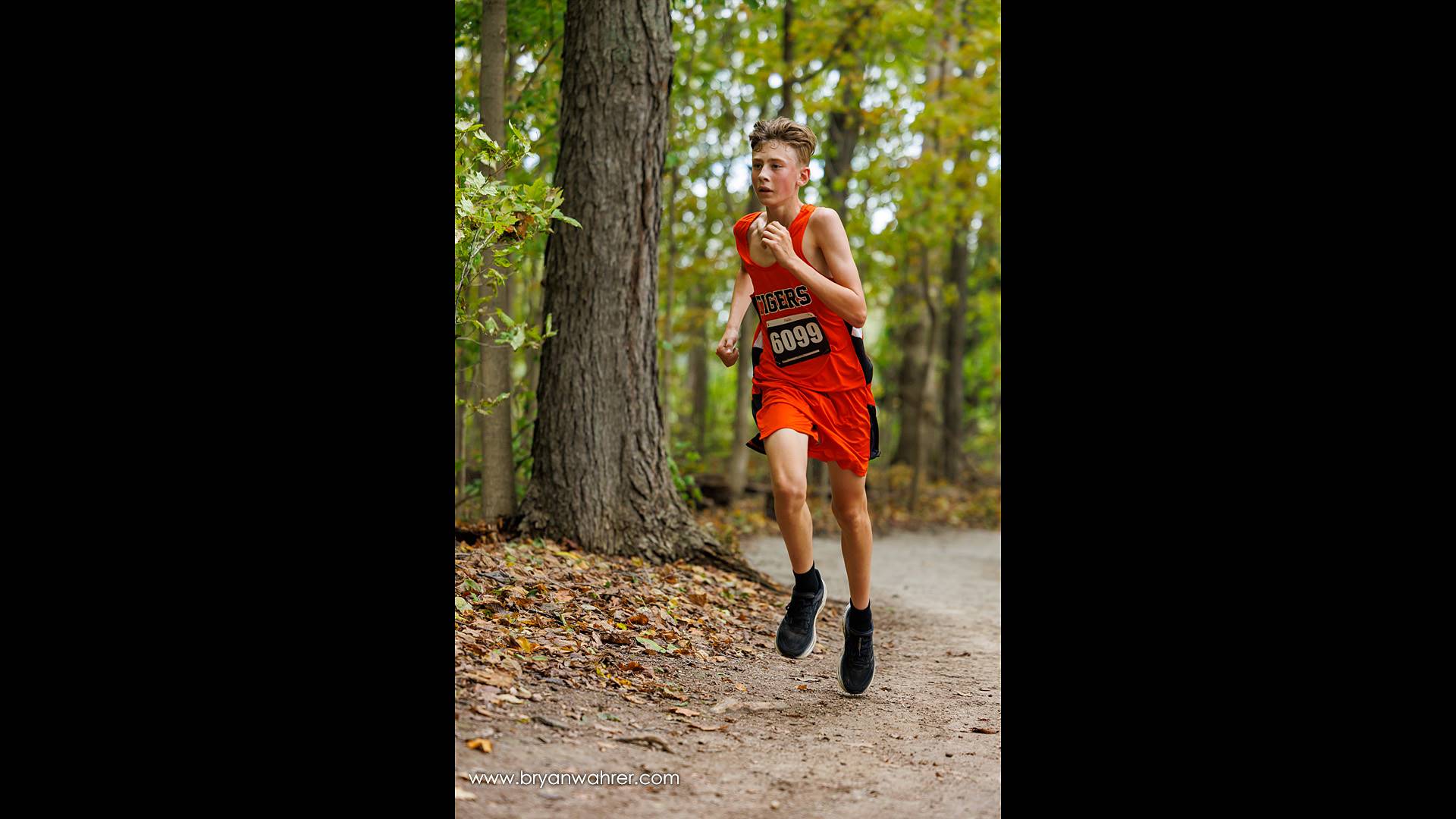 Cross Country Runner