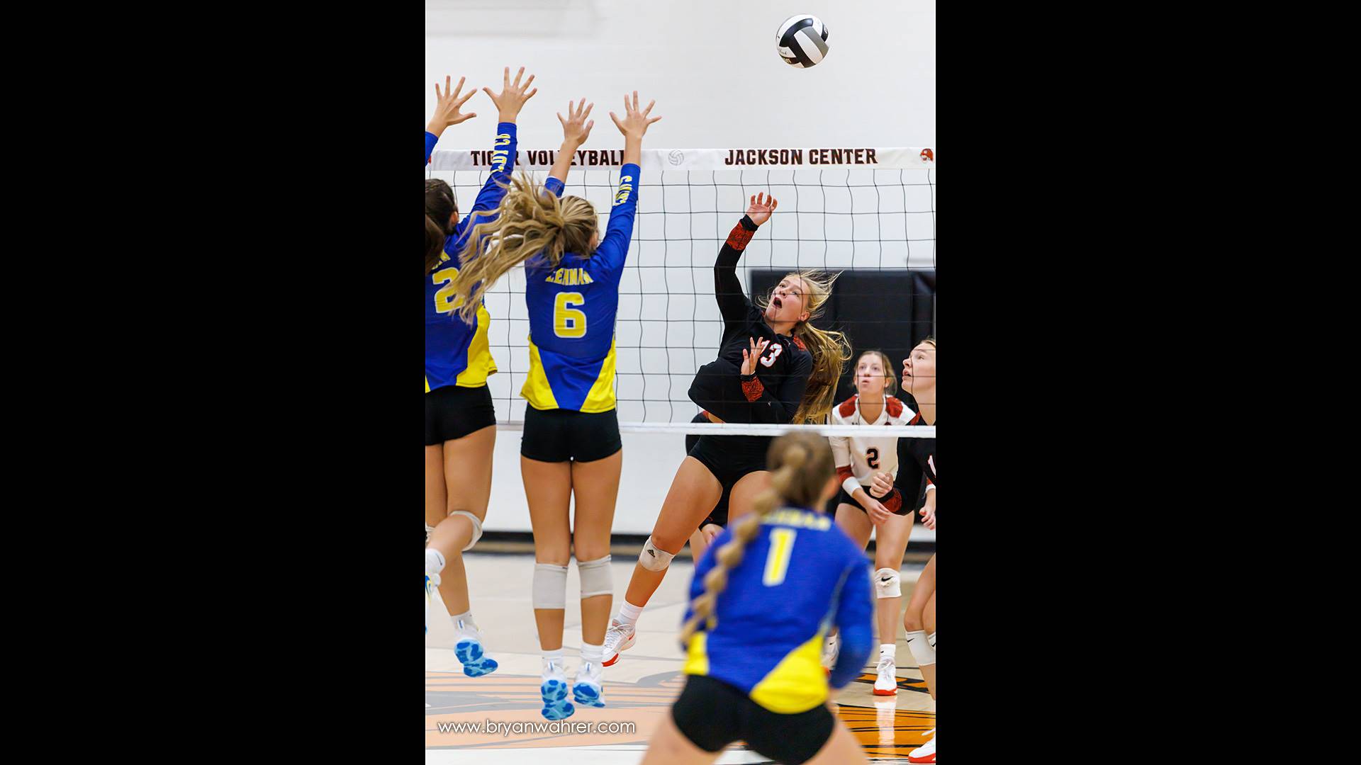 Volleyball Game