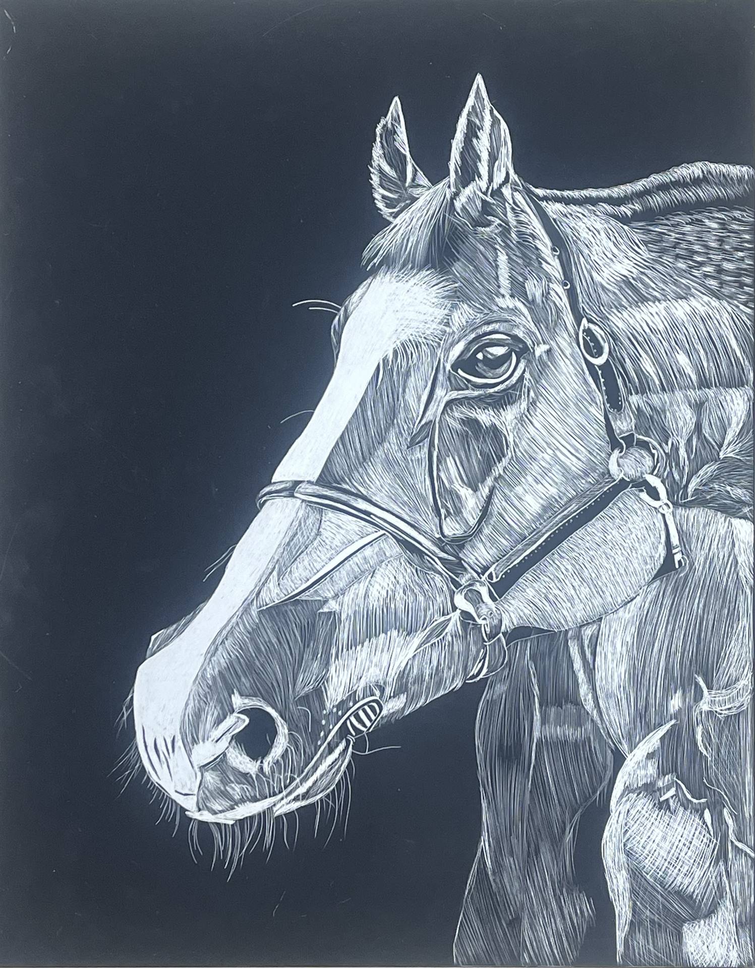 Scratchboard 