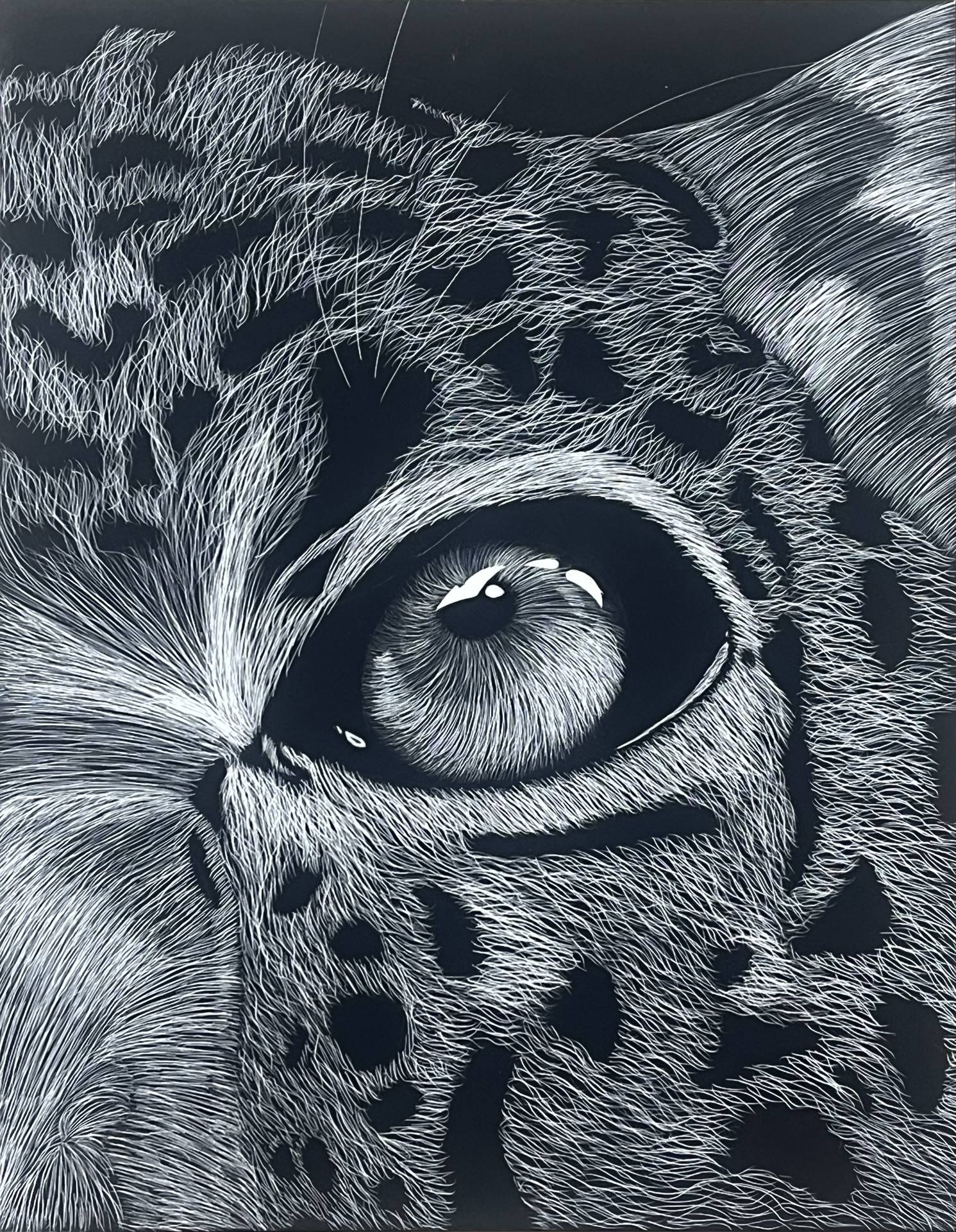 Scratchboard 