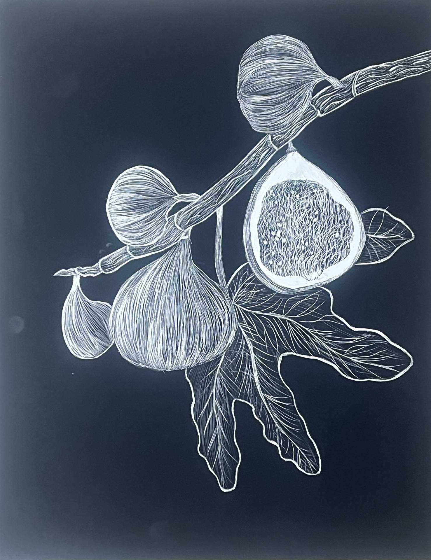 Scratchboard