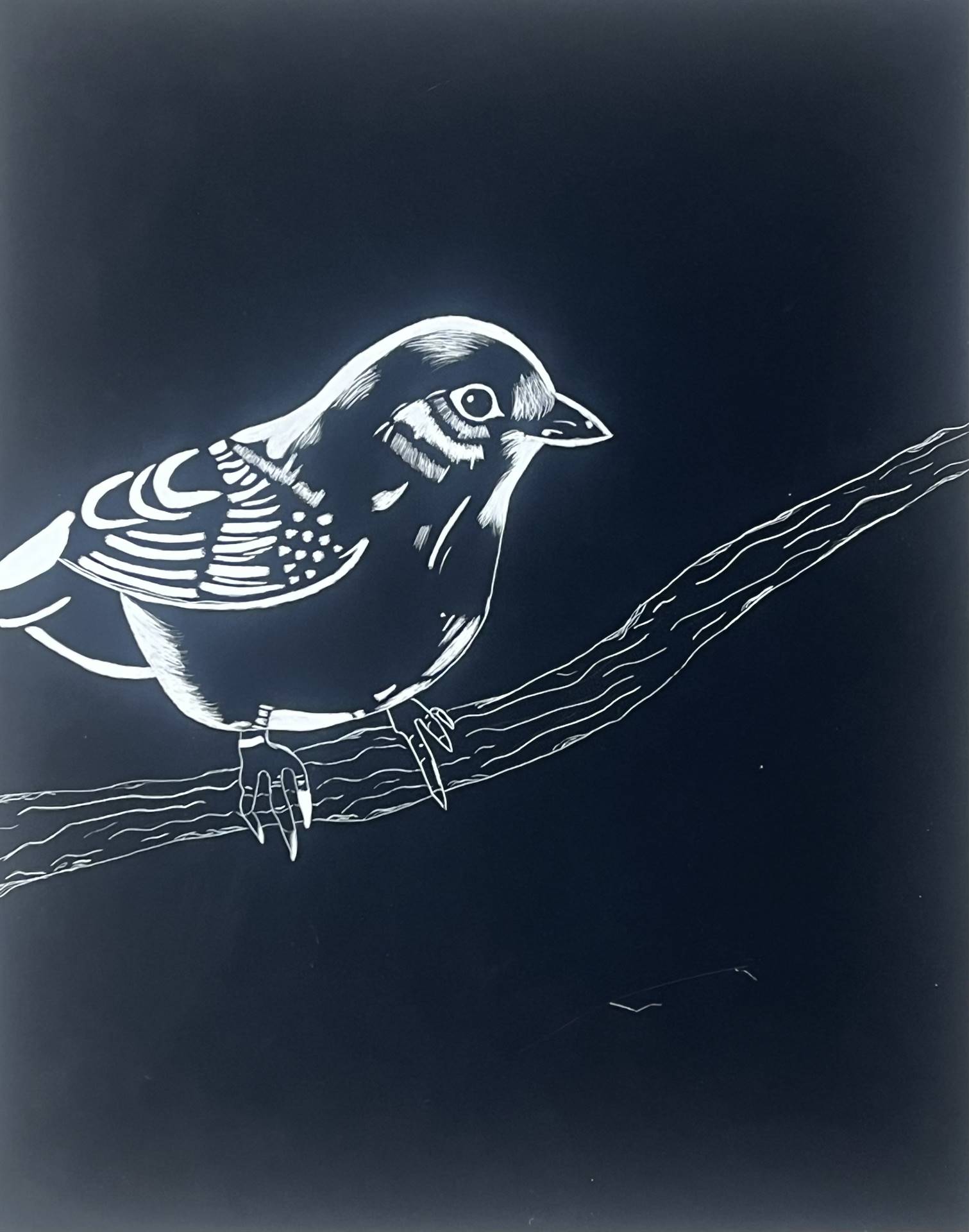 Scratchboard